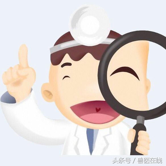 家庭农场申请条件及流程,农村家庭农场如何申报