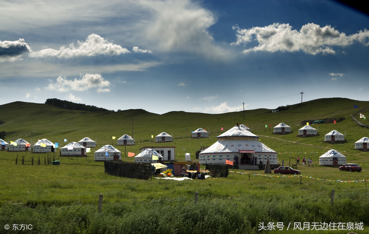 蒙古马和套马图片,蒙古套马绳子教学