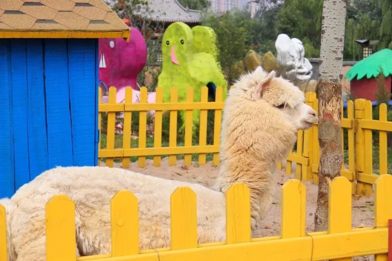 亲自然亲子户外活动太原,太原六一带孩子去哪里玩比较好