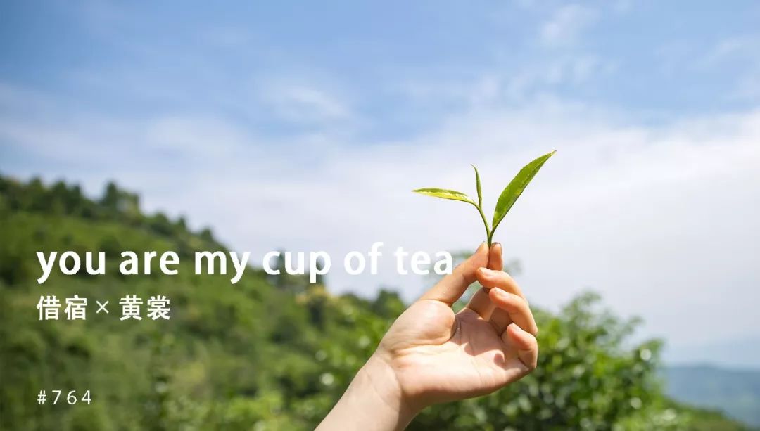 他找来浙大团队，用茶研发洗护用品，成了日本人都在代购的新国货