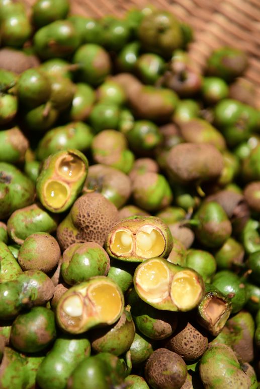 他找来浙大团队,用茶研发洗护用品,成了日本人都在代购的新国货