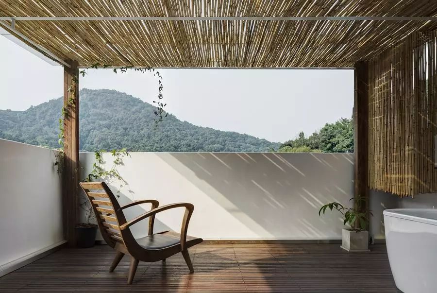 他找来浙大团队，用茶研发洗护用品，成了日本人都在代购的新国货