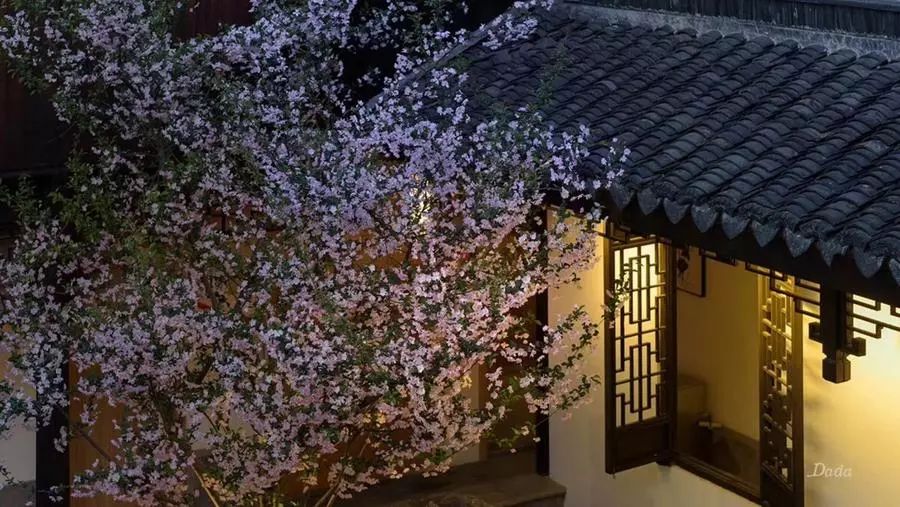 他卖掉所有家当回国创业，做洗护用品，竟引来网红民宿排队打call