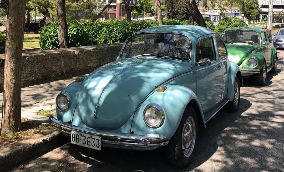 大众甲壳虫你喜欢吗,大众甲壳虫车友聚会