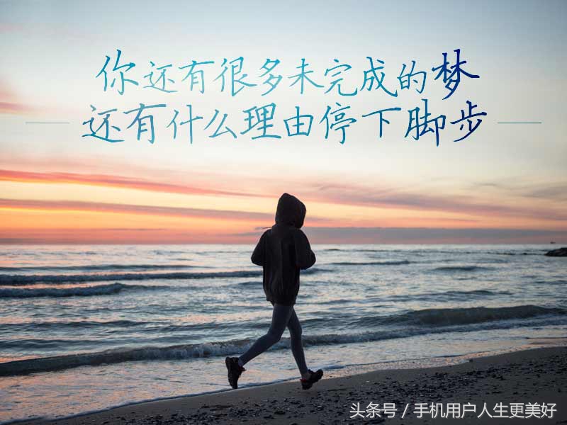 不因虚度年华而悔恨，更不因碌碌无为而羞耻