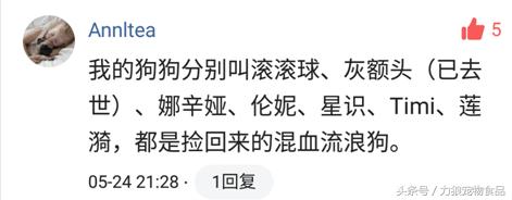 你给宠物起过哪些奇葩的名字？盘点那些让人印象深刻的宠物名字！