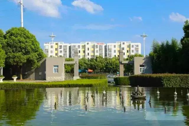 安徽阜阳五中学校好吗,阜阳五中是哪个镇