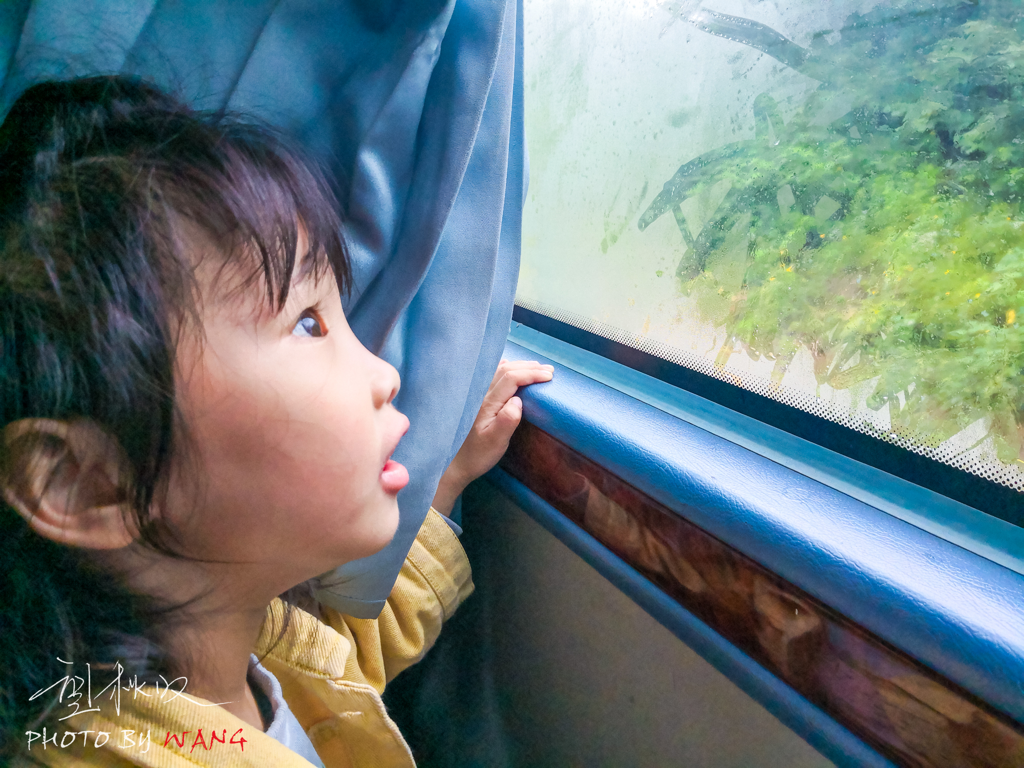 坐着可乐航班，开启响沙湾亲子之旅