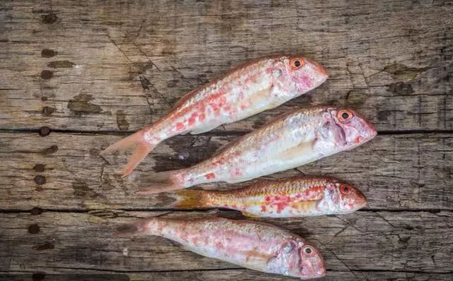 海鲜美食分享吃货日常,美食分享吃海鲜视频