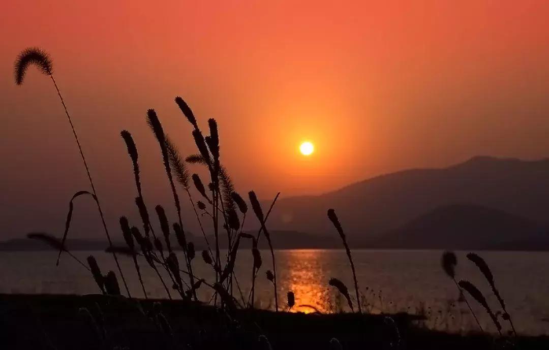 赣榆赶海海葵,自驾游露营野炊赶海