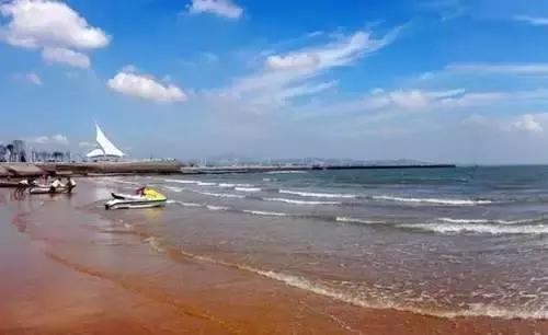 赣榆赶海海葵,自驾游露营野炊赶海