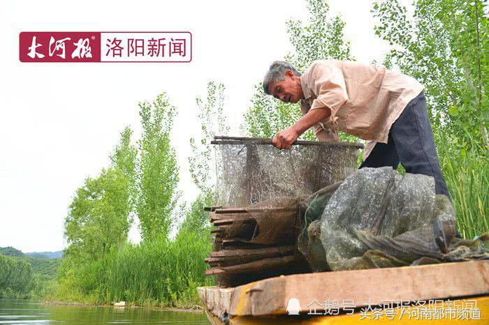 河南老人孤岛养鱼替儿还债：账本从不离身，天天啃馒头吃大蒜！