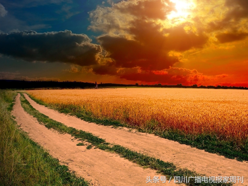 您看风景的眼睛，还好吗？《好医生在线》精彩内容抢先看