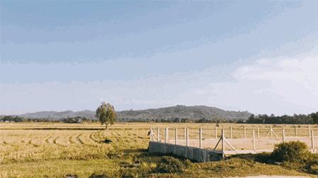 人在囧途旅游路线,人在囧途之毛里求斯