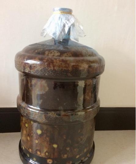 自制梅子酵素清肠排宿便,通便的梅子酵素