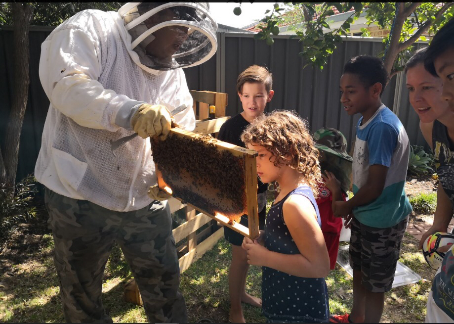 西澳洲（Homney）佳蜜产品—Jarrahhoney