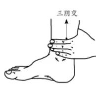 吃艾草对女人有什么好处,常吃艾草对女人的好处