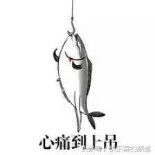 土豪垂钓赛最新消息,郑州土豪垂钓赛事件