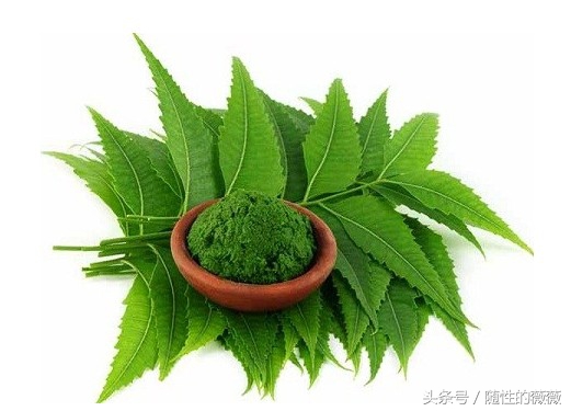 头发掉得很严重怎么保护好毛囊,头发掉秃了如何防脱发育发