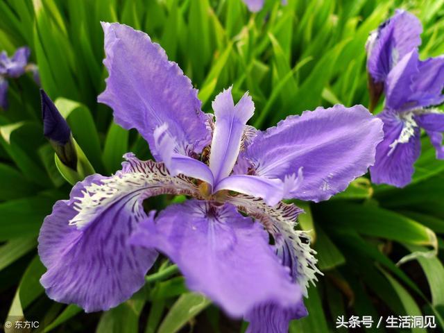 马屁拍的不响下一句,马屁拍得好不算啥能耐