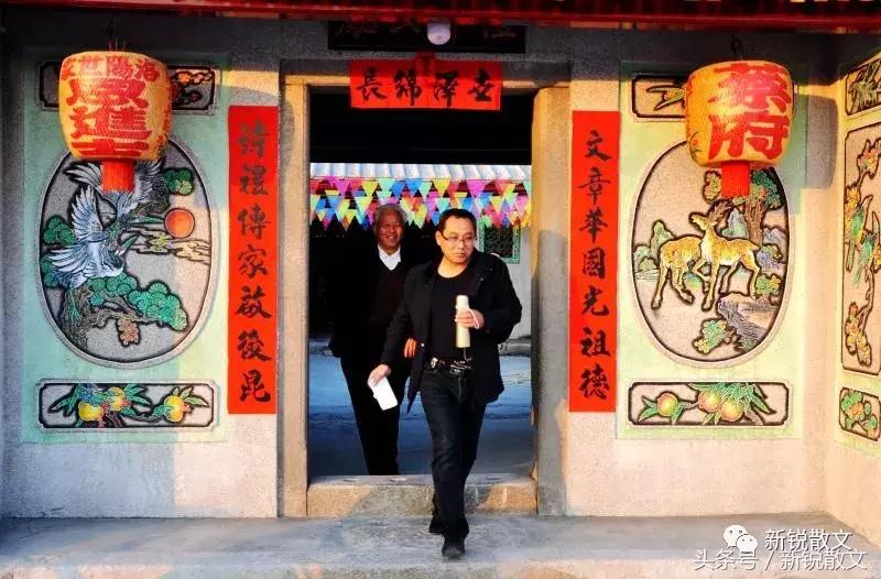 喝竹叶青茶,喝竹叶茶是喝干的还是嫩的