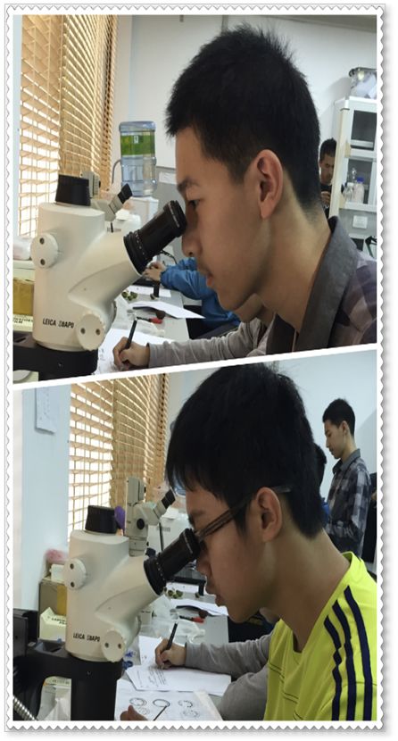 北京九中教育怎么样,北京九中管理制度