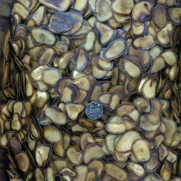 鹿茸泡酒用全蜡片还是半蜡片好,马鹿茸和梅花鹿茸片区别