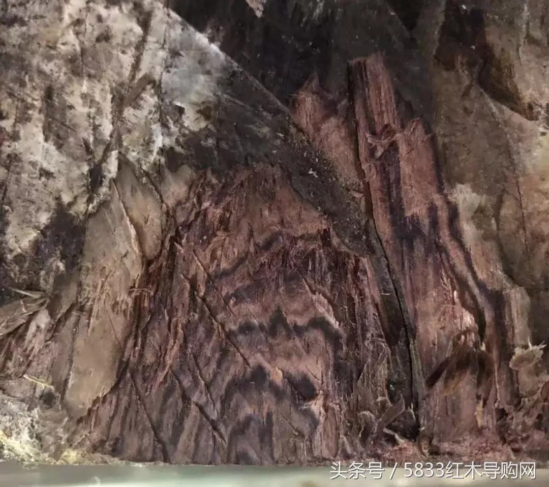 大叶黄花梨伯利兹黄檀好不好,大叶黄花梨和伯利兹黄檀区别