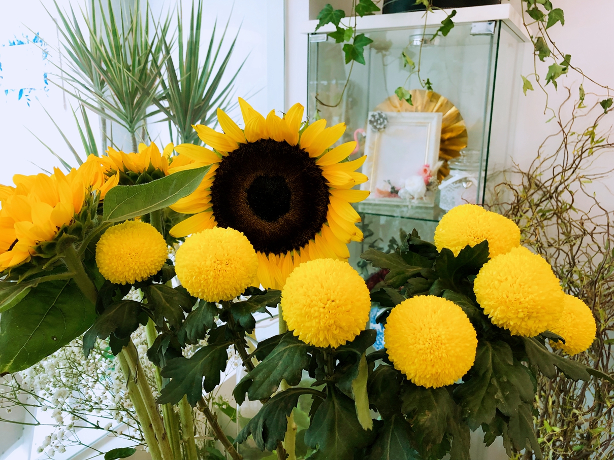 靠谱的花店,在哪可以找到有创意的花店