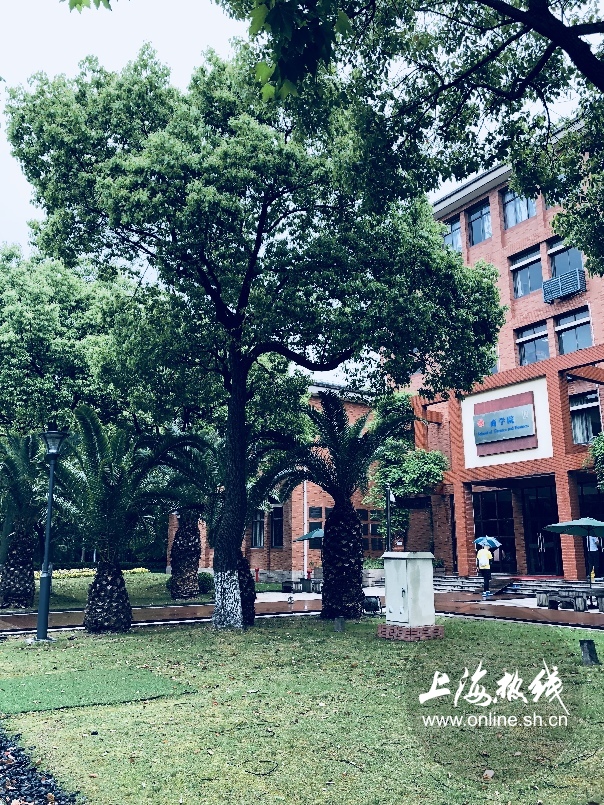 绿树成荫景色宜人清新空气,绿树成荫环境优美空气清新