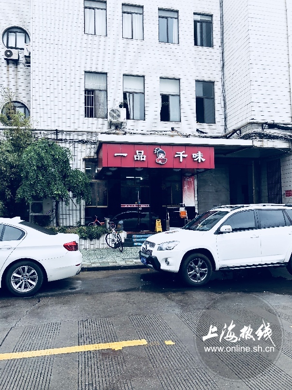 绿树成荫景色宜人清新空气,绿树成荫环境优美空气清新