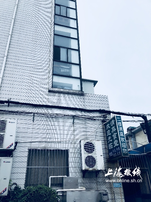 绿树成荫景色宜人清新空气,绿树成荫环境优美空气清新