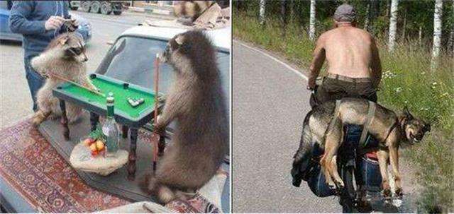 梦见钻石项链是什么意思,做了个梦梦见你和我说新年快乐