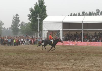 中华民族大赛马2020比赛日程,中华民族耐力赛马节