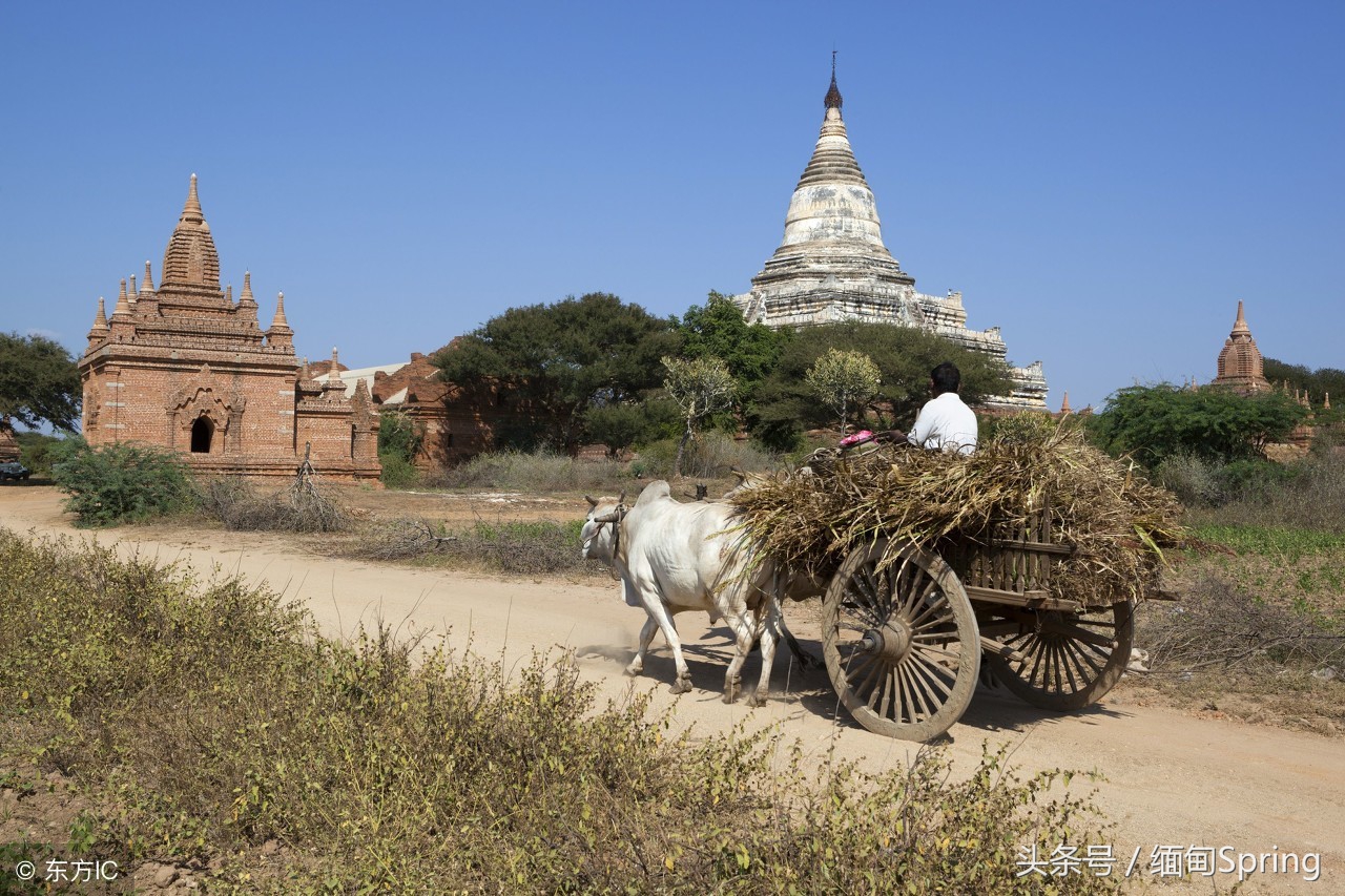 去缅甸旅游安全吗,去缅甸旅游怎么样最便宜