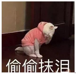 新闻香港假化妆品,香港海关查获多少化妆品