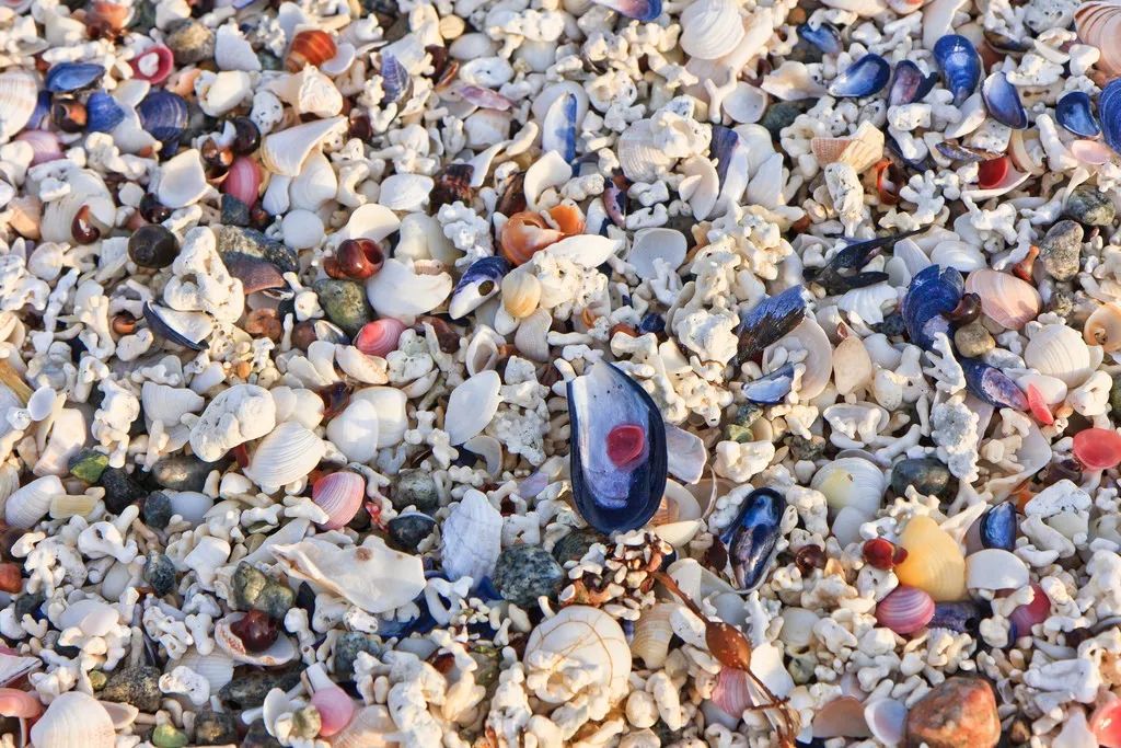 挪威的一个小岛夏天,挪威最美渔村北极圈里的秘境岛屿