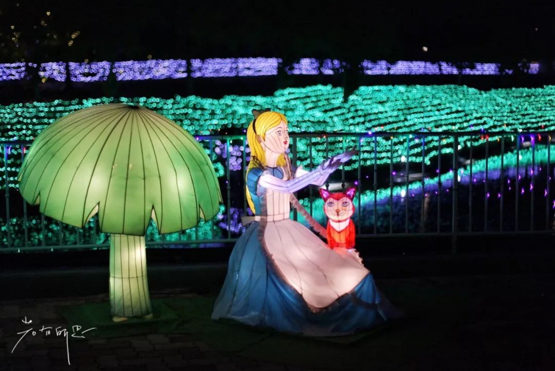 日本的哪个地方中国人不能去,日本什么地方很多中国人