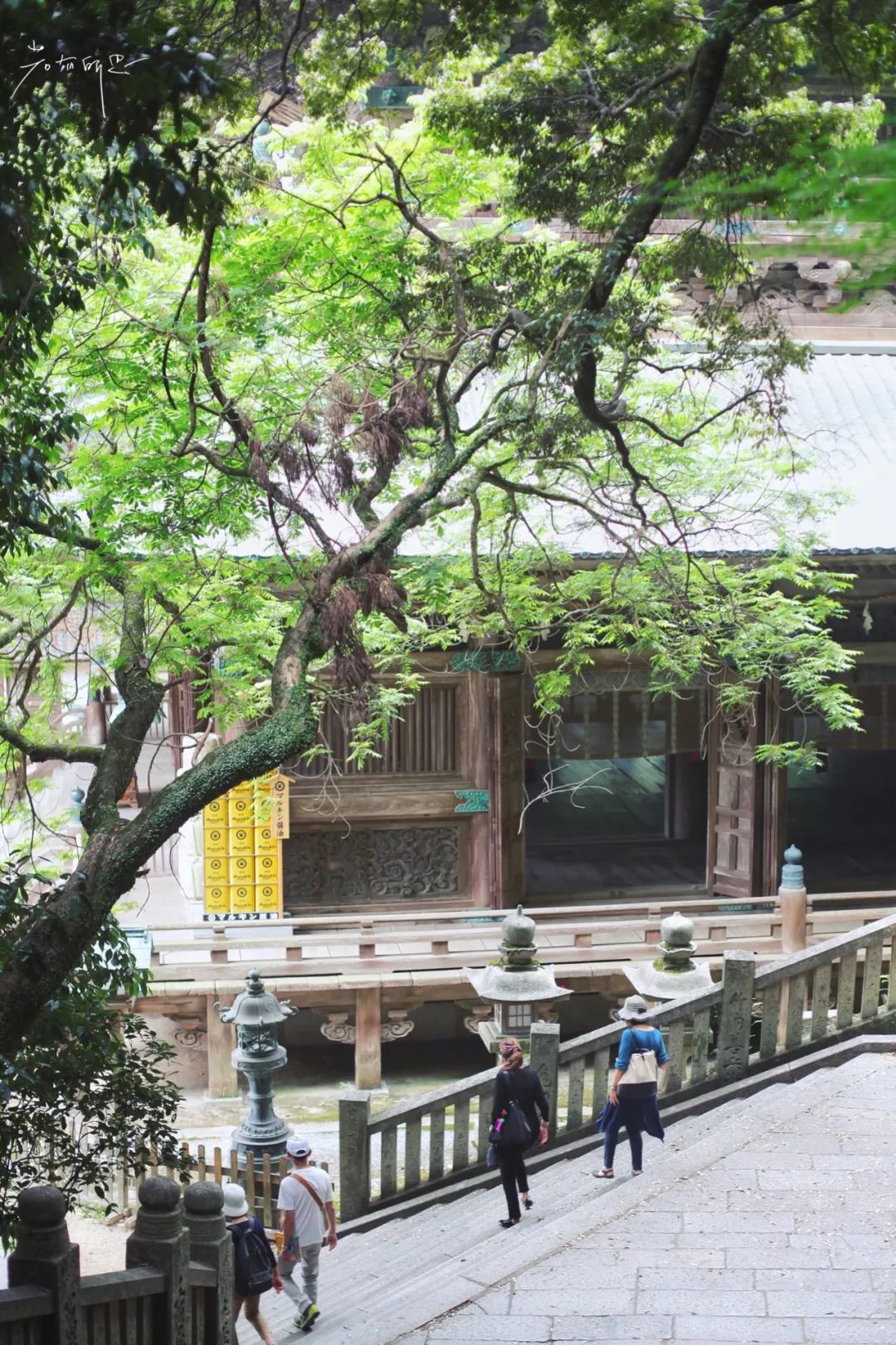 日本的这个地方，很少有中国游客，超级文艺治愈系！