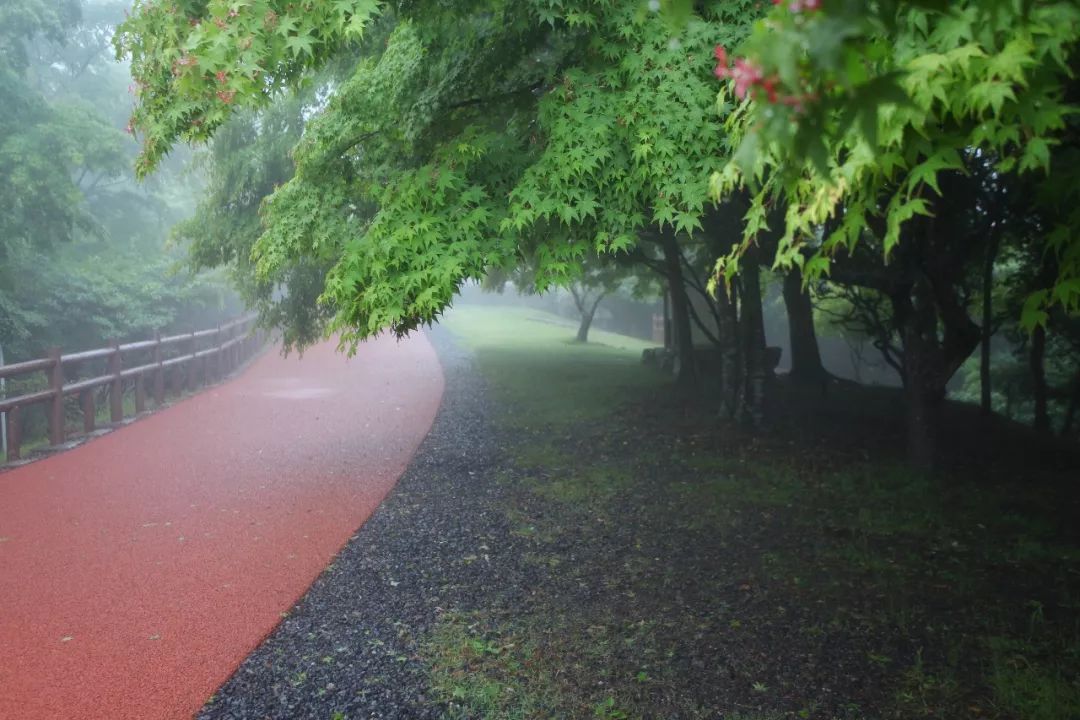 日本的哪个地方中国人不能去,日本什么地方很多中国人