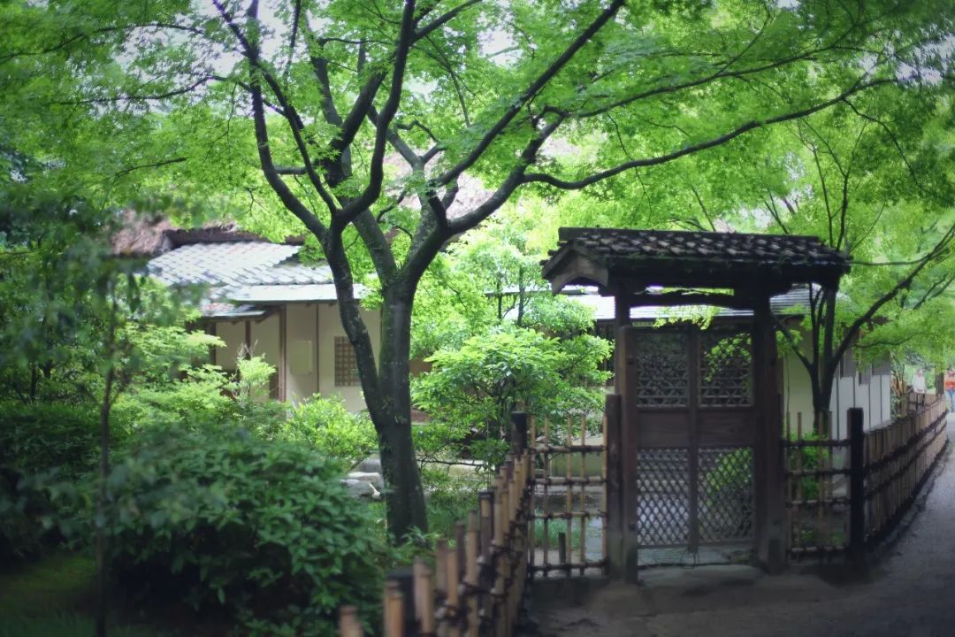 日本的这个地方，很少有中国游客，超级文艺治愈系！