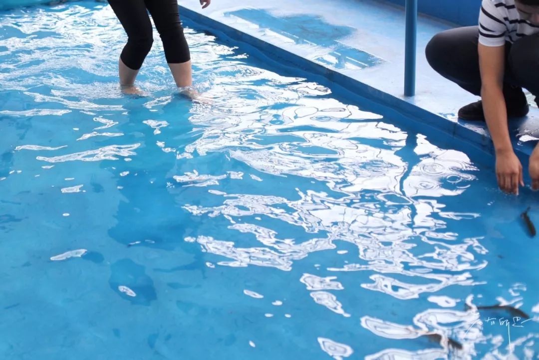 五天四晚适合去哪玩,适合五天四夜清静的旅行