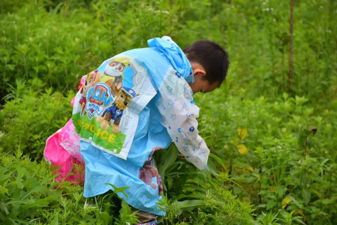 潍坊博苑溪谷森林幼儿园收费,博苑溪谷森林自然课程