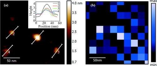 世界一流大学offer,如何拿到世界顶级大学offer