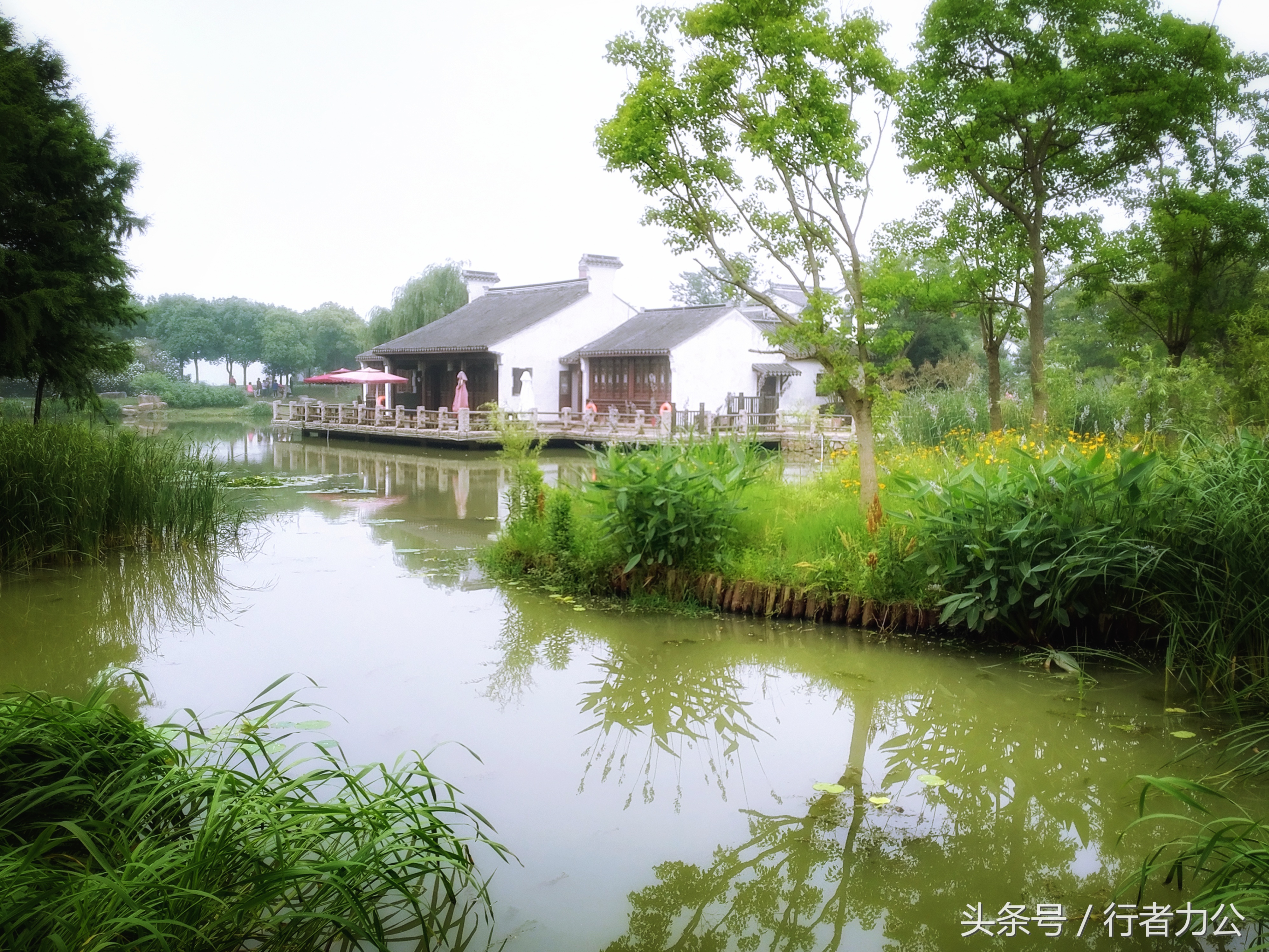 尚贤河湿地公园攻略,尚贤河湿地景点