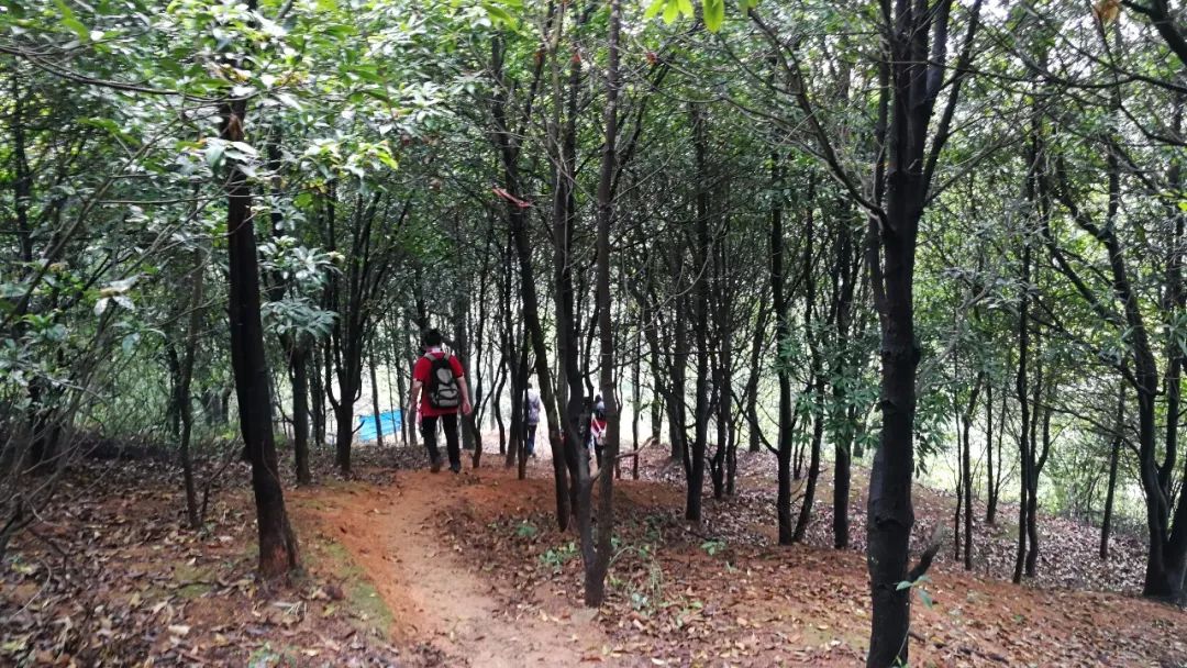 号外号外活动来袭,号外号外活动