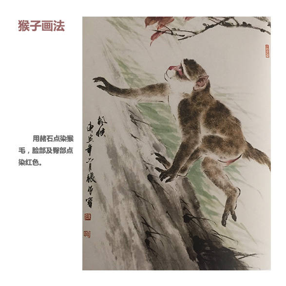 中国画如何画猴子,中国画怎样画猴子