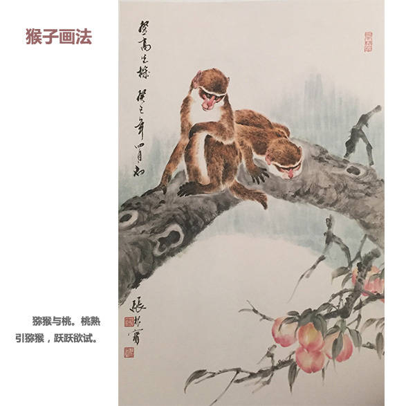 中国画如何画猴子,中国画怎样画猴子