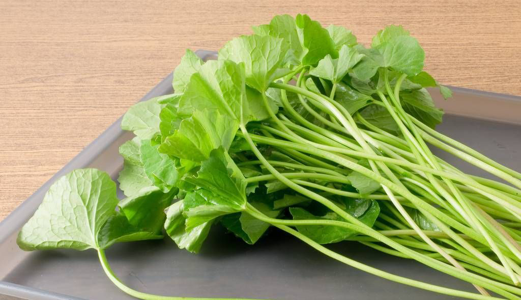 精华素成分表怎么看,bioactives