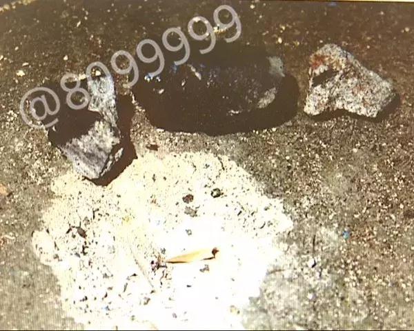 西双版纳陨石价格表,云南西双版纳陨石多少钱一克